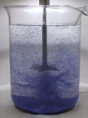 実験画像